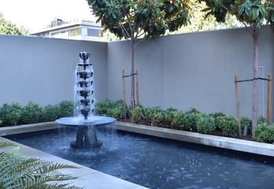 Related Project: Magnolia Reflection