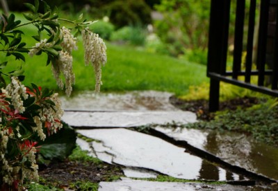 Related Project: Landscape Architecture - Phase 1