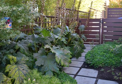 Related Project: No Maintenance