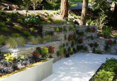 Related Project: Contemporary Wooded Garden