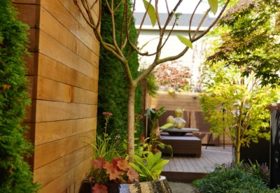 Related Project: Urban Retreat