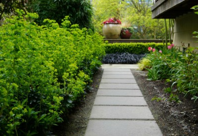 Related Project: Springtime in the City