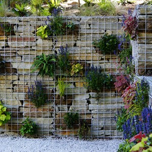 Walls