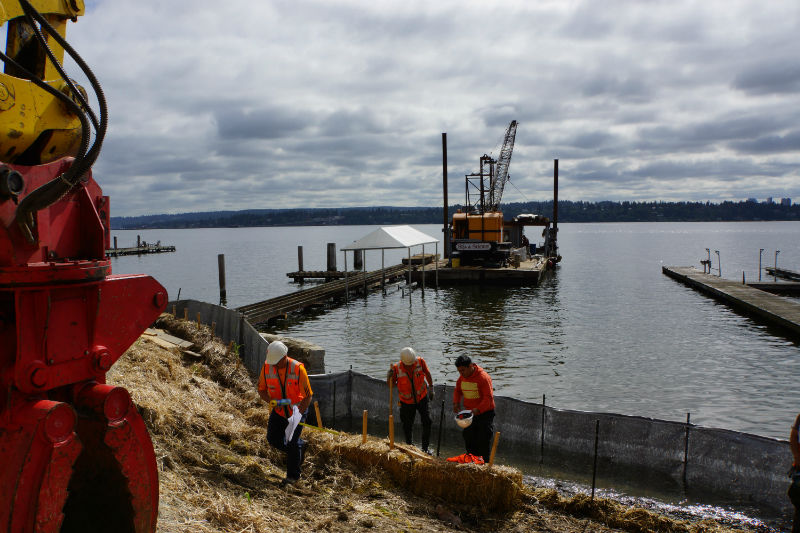 Excavation Terrain Landscape Architecture and Construction, Seattle WA