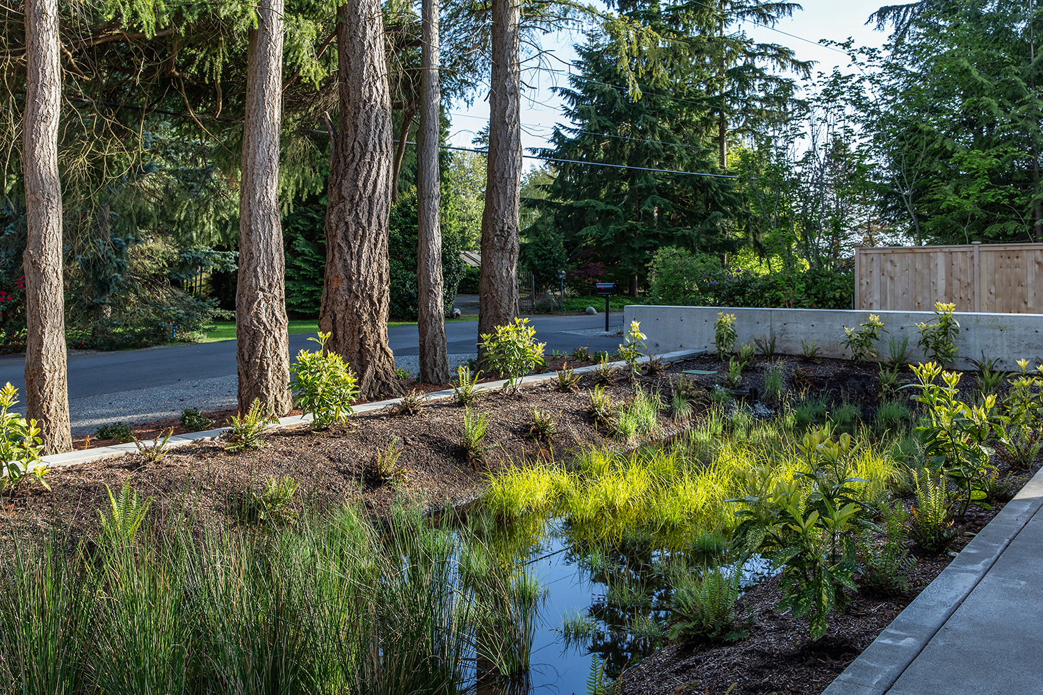 DESIGNING AND BUILDING A RAIN GARDEN  Terrain - Landscape Architecture and  Construction, Seattle WA