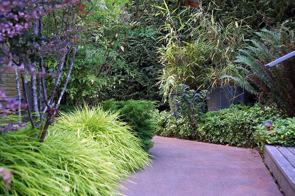 Terrain_Landscaping_Garden-Bamboo-Perennial