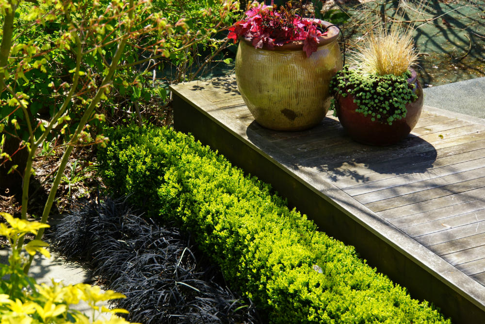 glazed-pots-on-deck.jpg