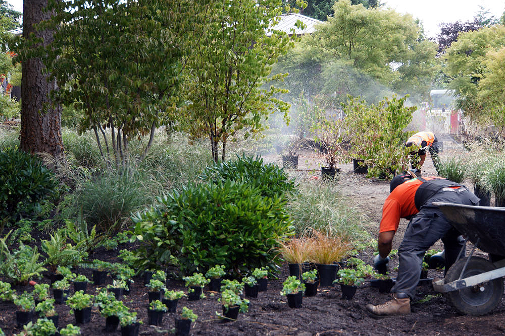 planting-in-seattle.jpg