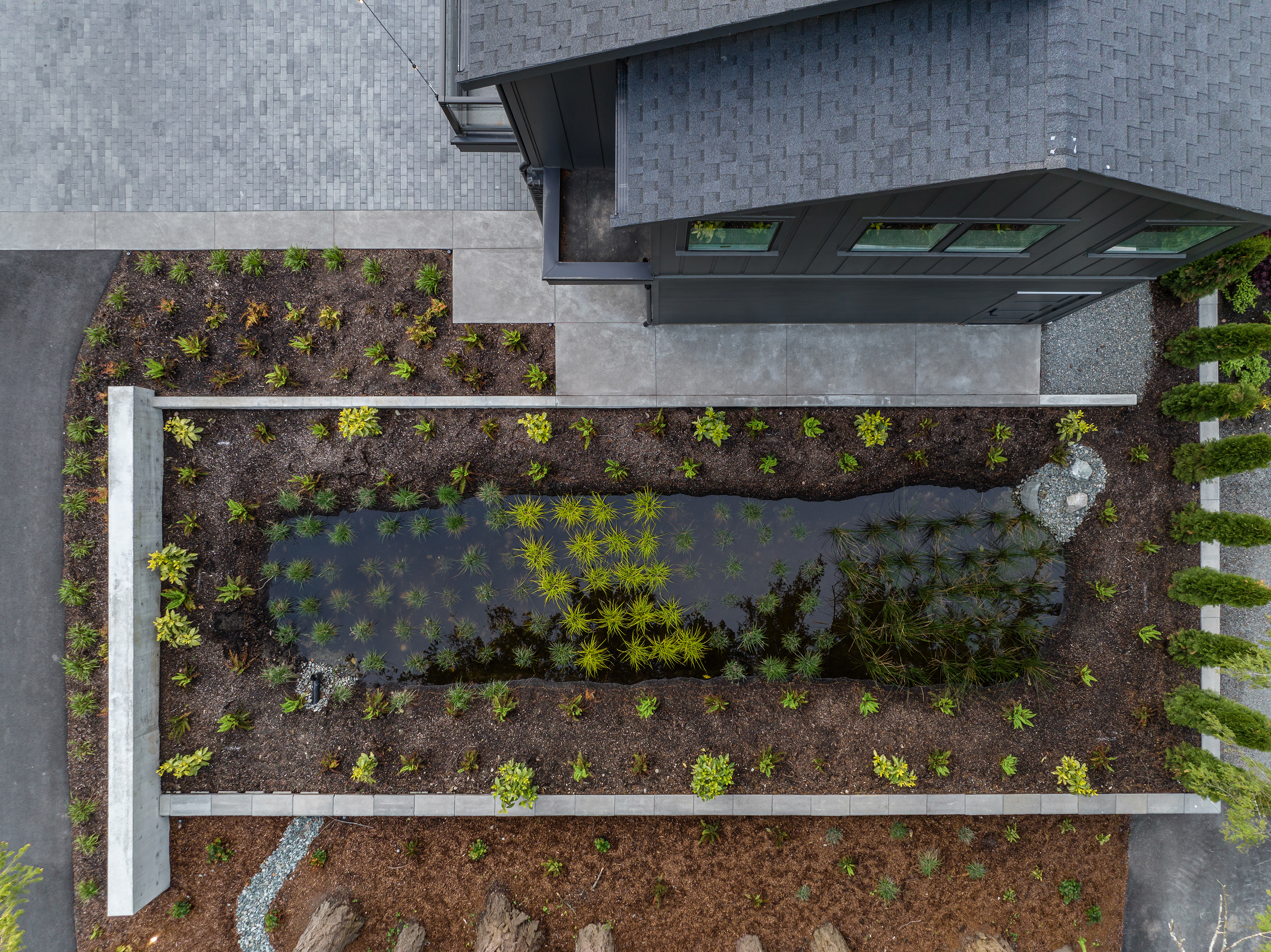 raingarden-terrain-seattle-landscape_architecture-studioterrain-3.png