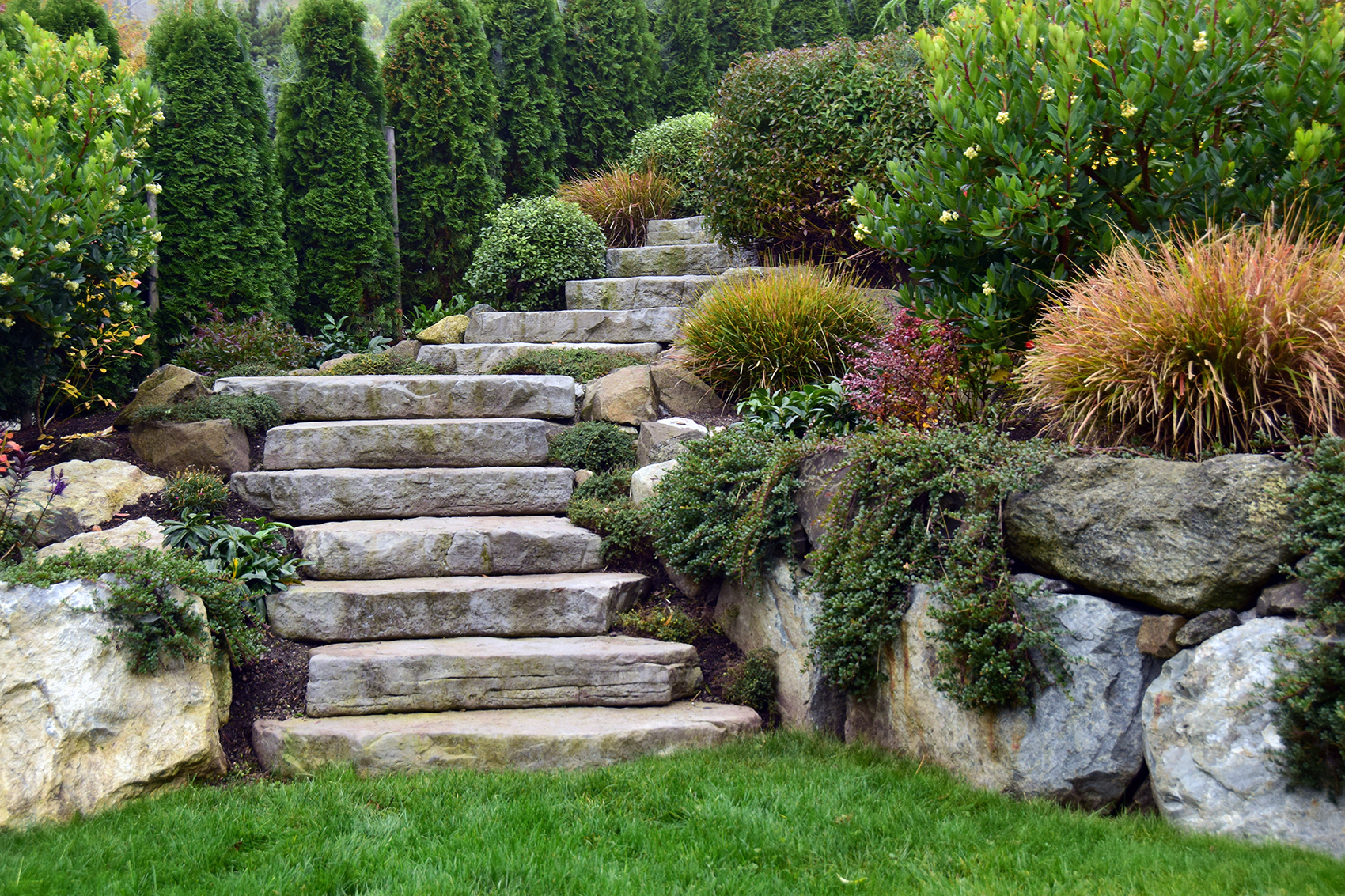 terrain-seatt;e-landscaping.jpg