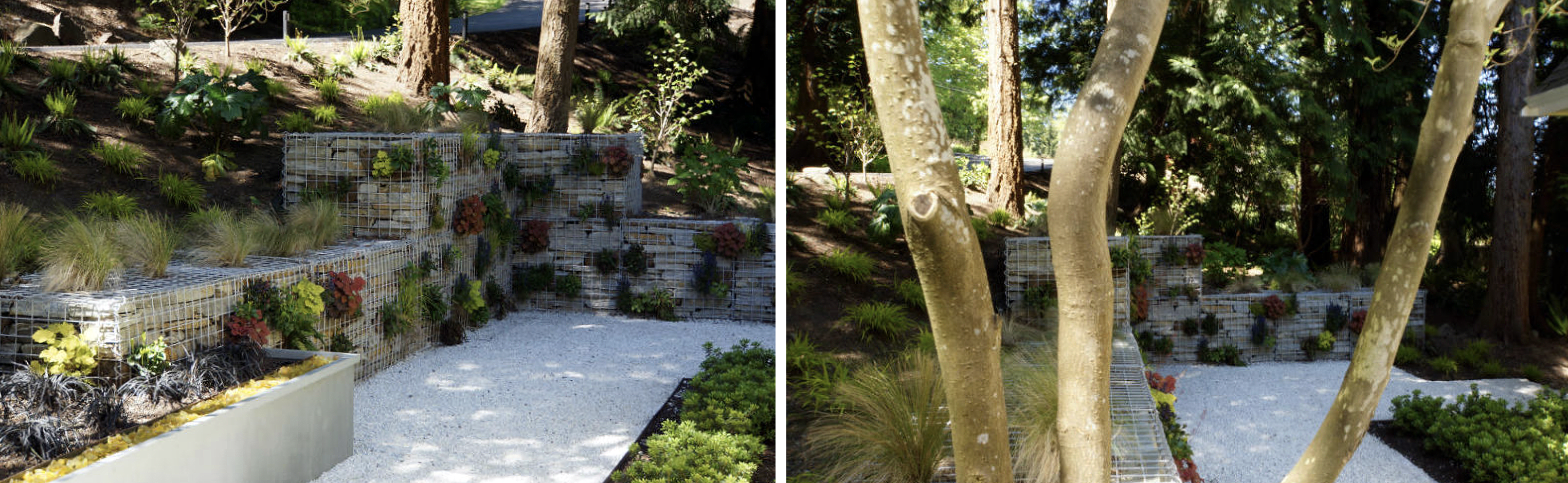 terrain-garden.png terrain-garden.png