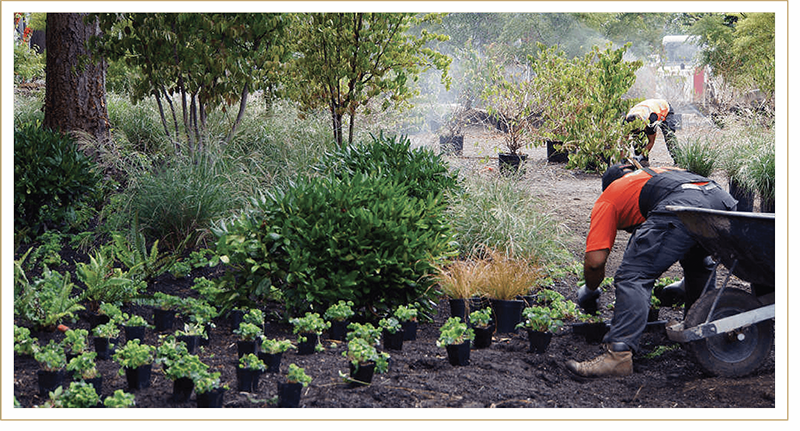 terrain-seattle-flora-plants-garden-x1.png