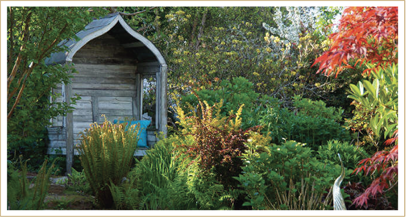 terrain-seattle-flora-plants-garden-x3.png