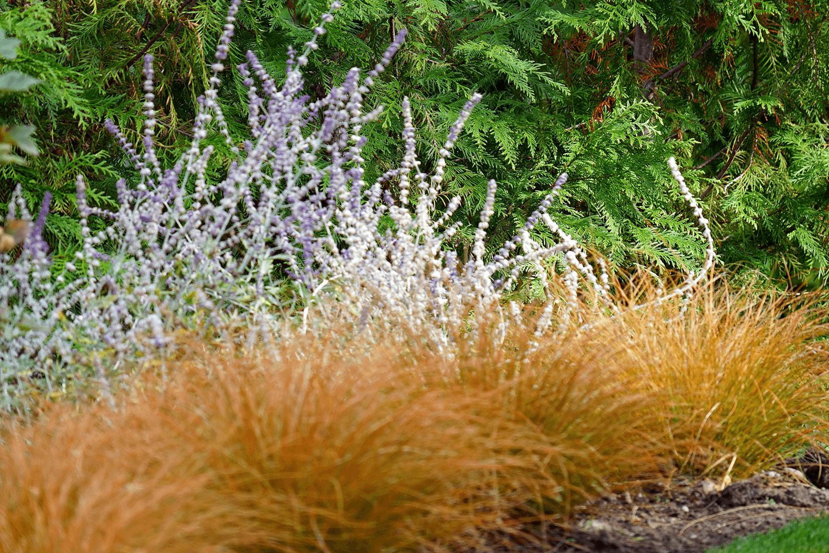 Terrain_Landscaping_Garden