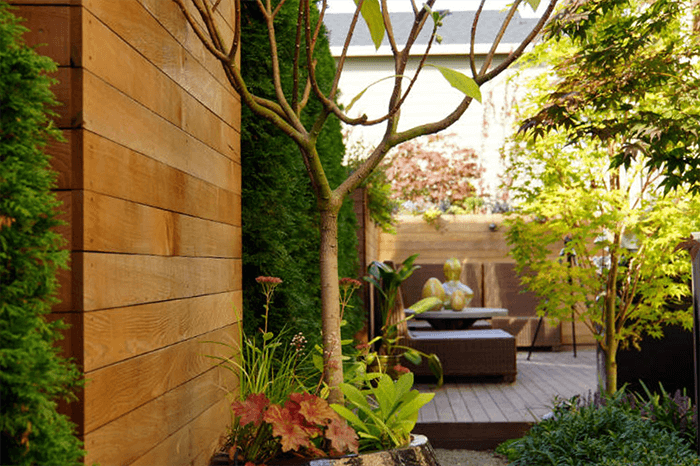 urban-retreat-seattle-landscaping-1.png