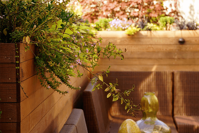 urban-retreat-seattle-landscaping-5.png